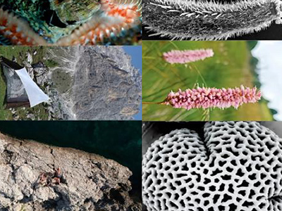 Mostra Fotografica Biodiversità